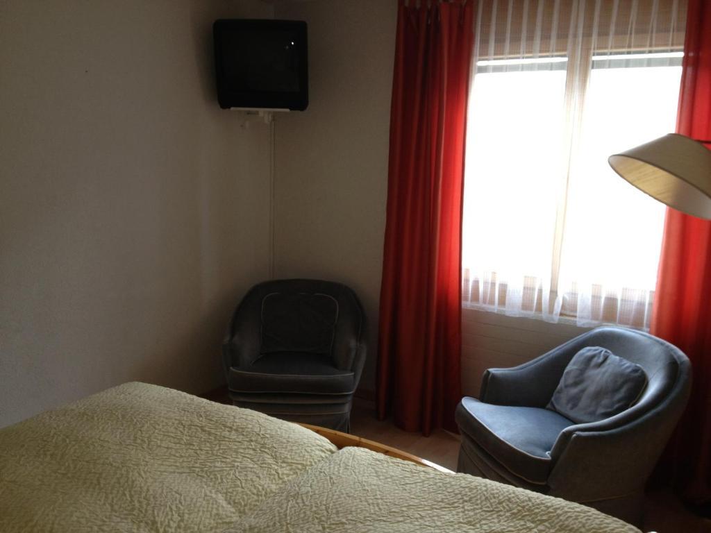 Hotel Alpina Davos Bilik gambar